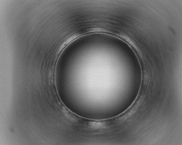 X0000113211145200909171529