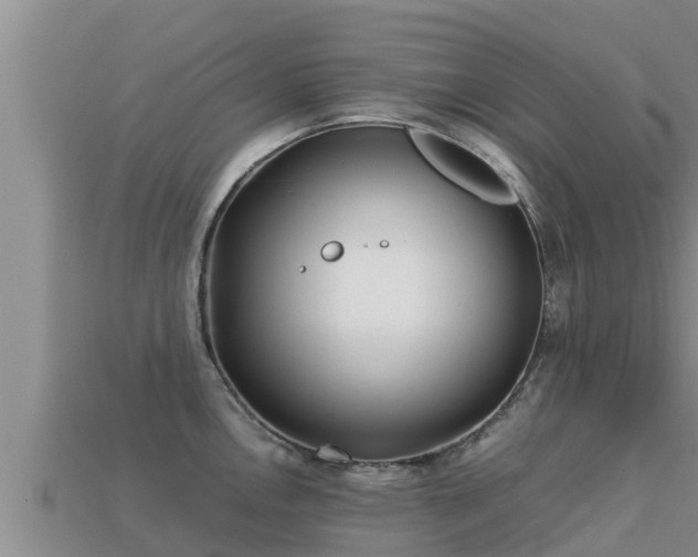 X0000113211146200909171529