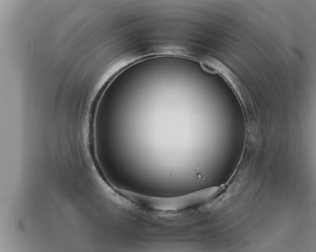 X0000113211147200909171529