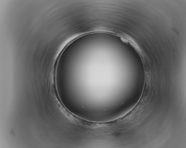 X0000113211148200909171529