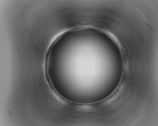 X0000113211149200909171529