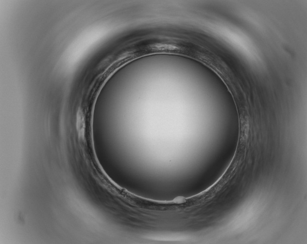 X0000113211151200909171529