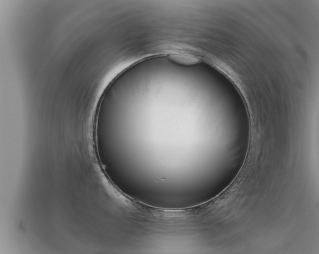 X0000113211152200909171529