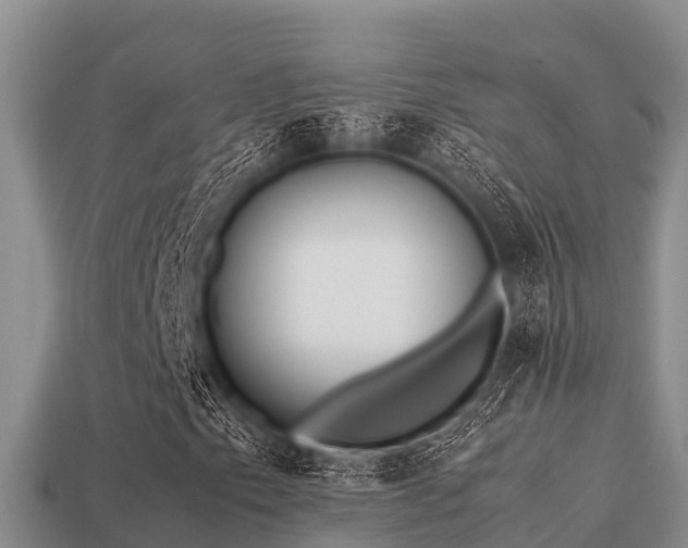 X0000113211153200909171528