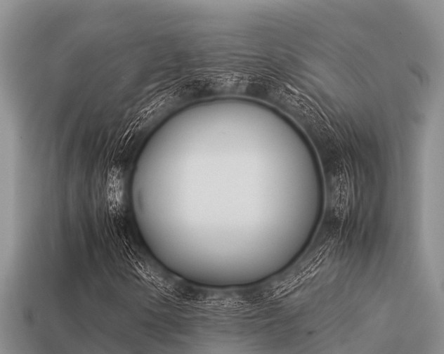 X0000113211154200909171528