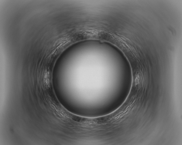 X0000113211156200909171528