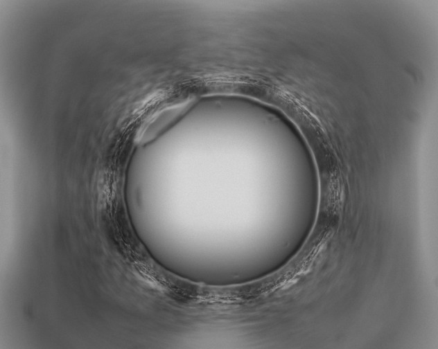 X0000113211157200909171528