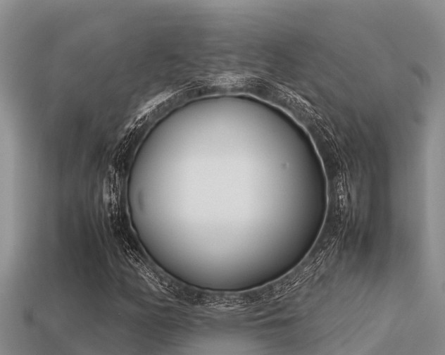 X0000113211158200909171528