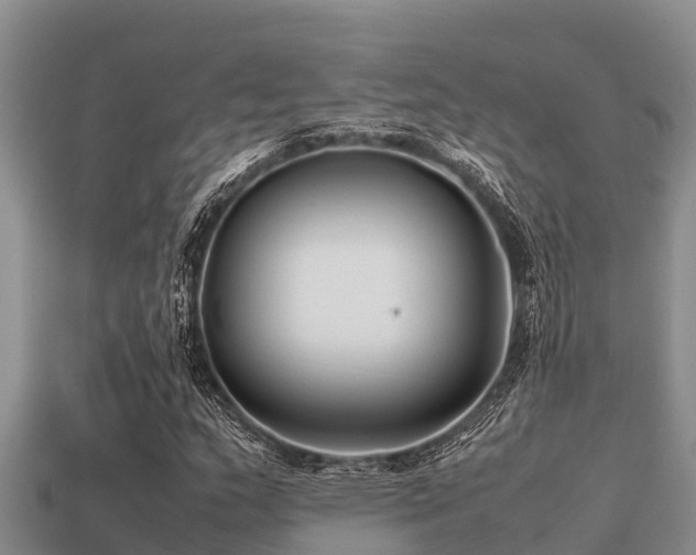 X0000113211159200909171528