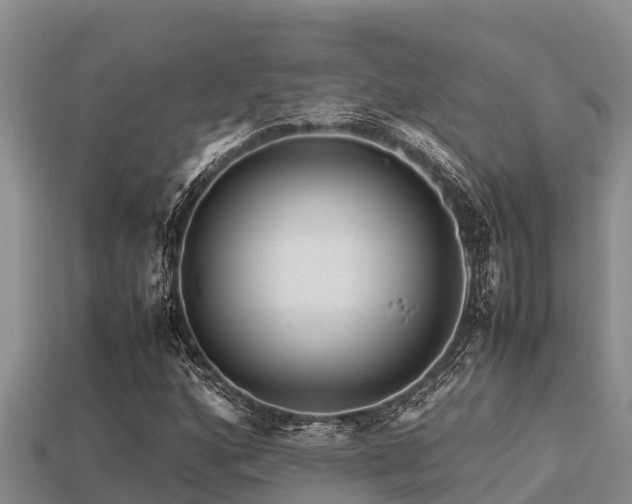 X0000113211160200909171528