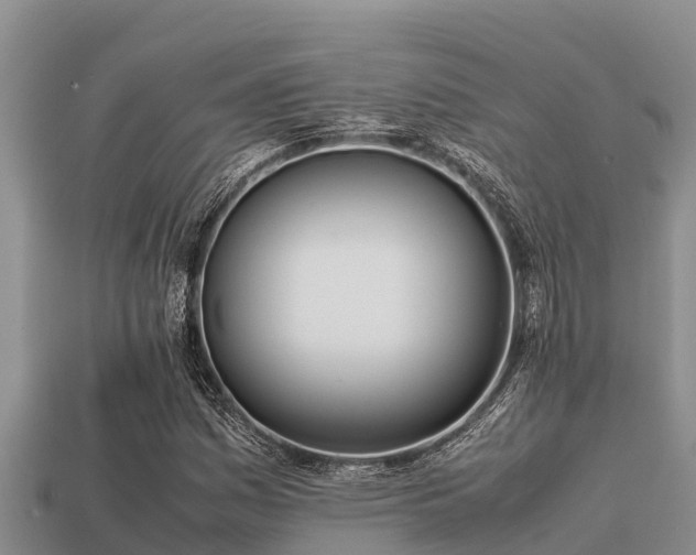 X0000113211161200909171528