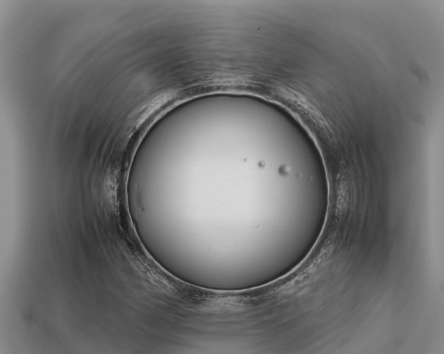 X0000113211162200909171528