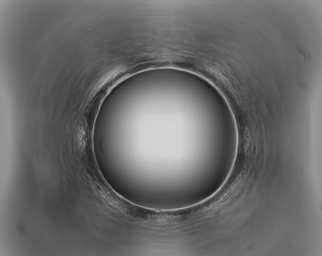 X0000113211163200909171528