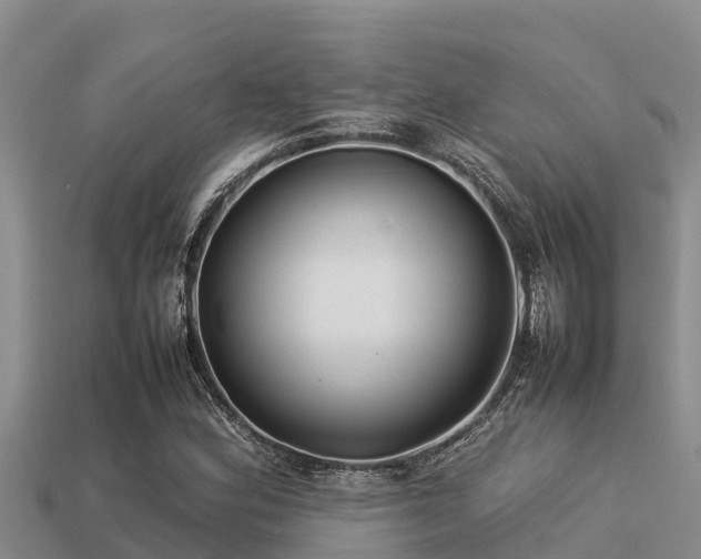 X0000113211164200909171528