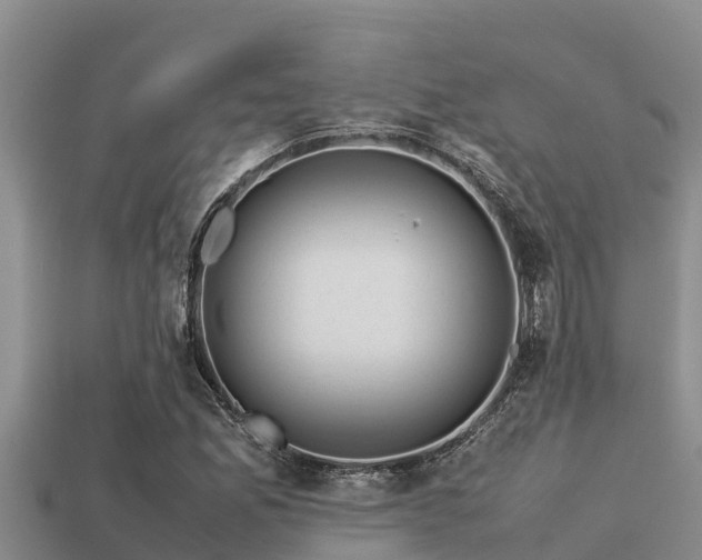 X0000113211165200909171528