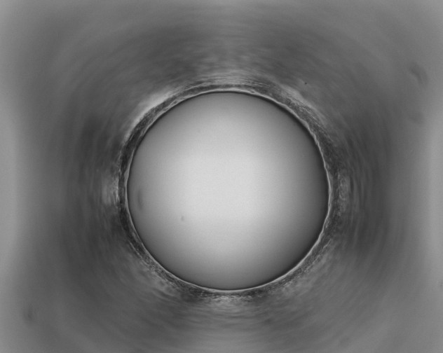 X0000113211166200909171528