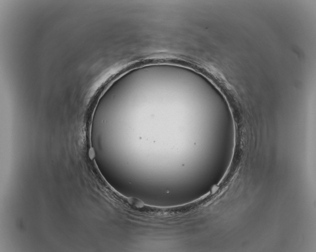 X0000113211167200909171528