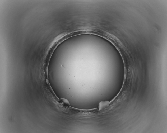 X0000113211168200909171528