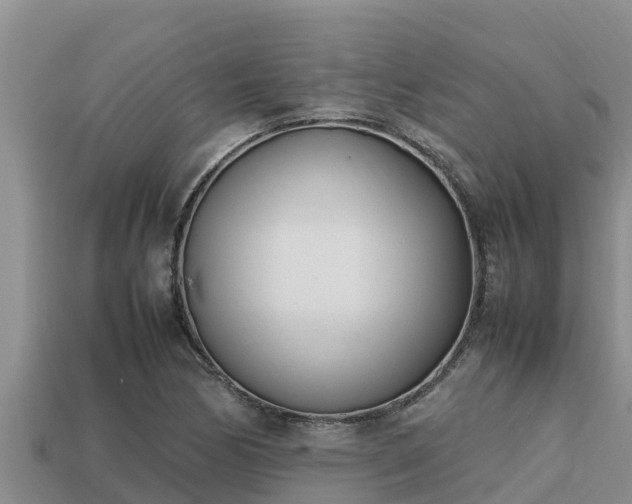 X0000113211170200909171528