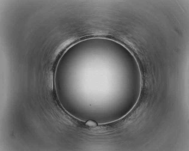 X0000113211171200909171528