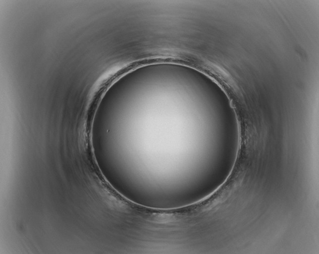 X0000113211172200909171528