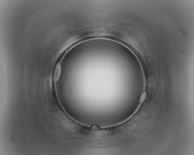 X0000113211173200909171528