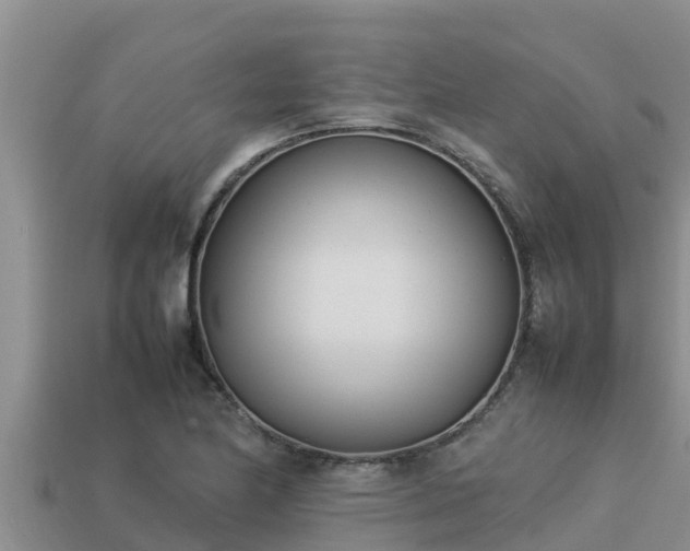 X0000113211174200909171528