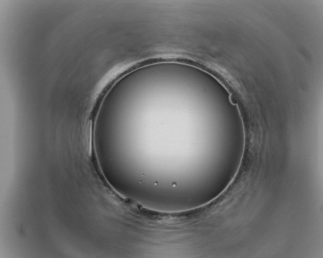 X0000113211175200909171528