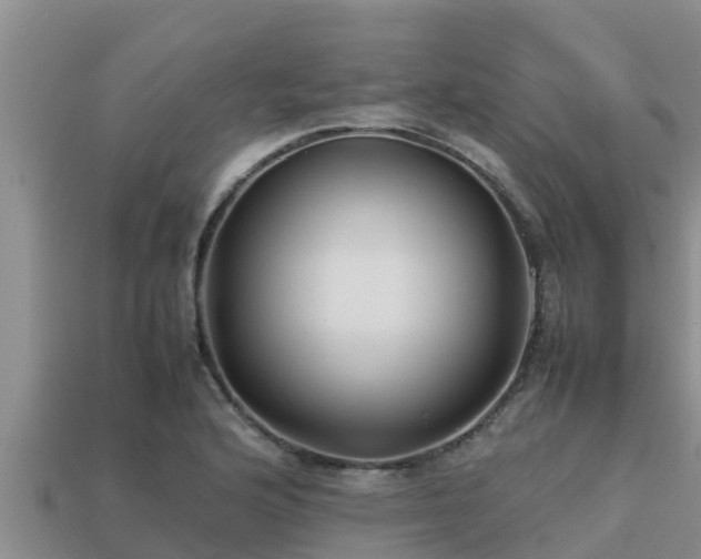 X0000113211176200909171528