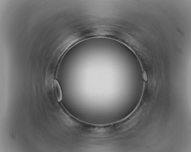 X0000113211177200909171528