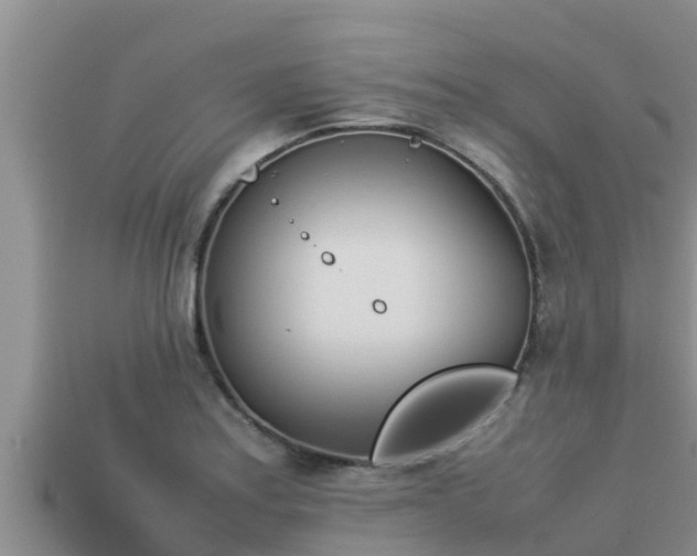 X0000113211179200909171528