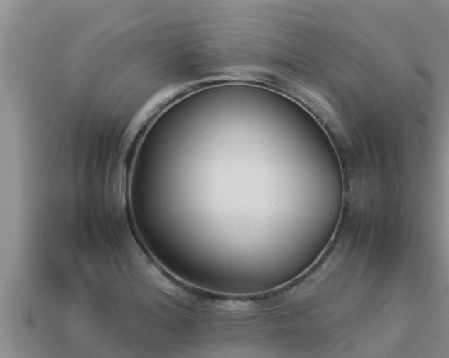 X0000113211180200909171528