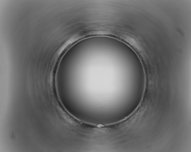 X0000113211181200909171528