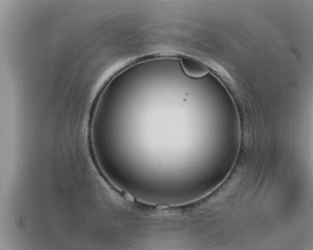 X0000113211183200909171528