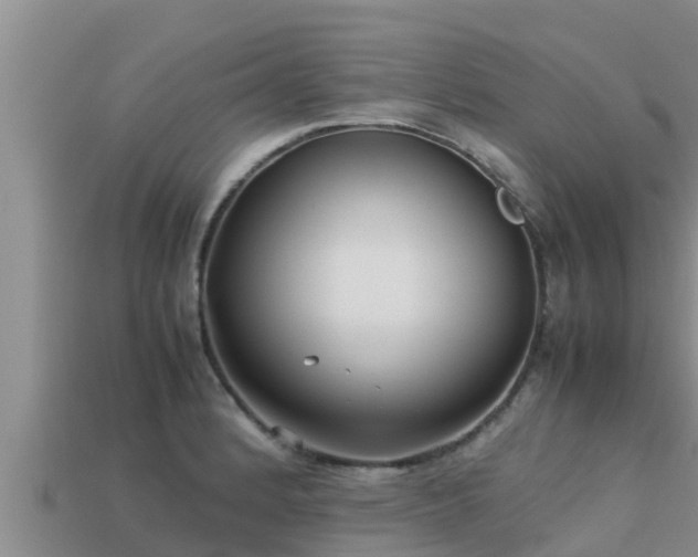 X0000113211184200909171528