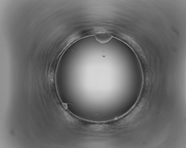 X0000113211185200909171528