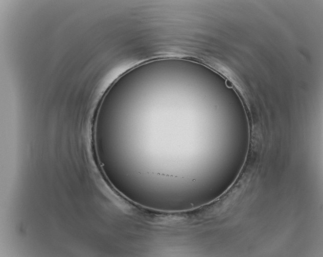 X0000113211187200909171528