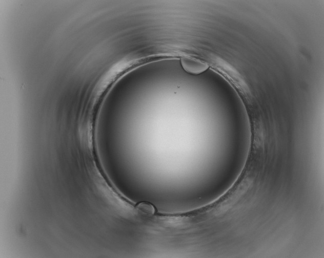 X0000113211188200909171528