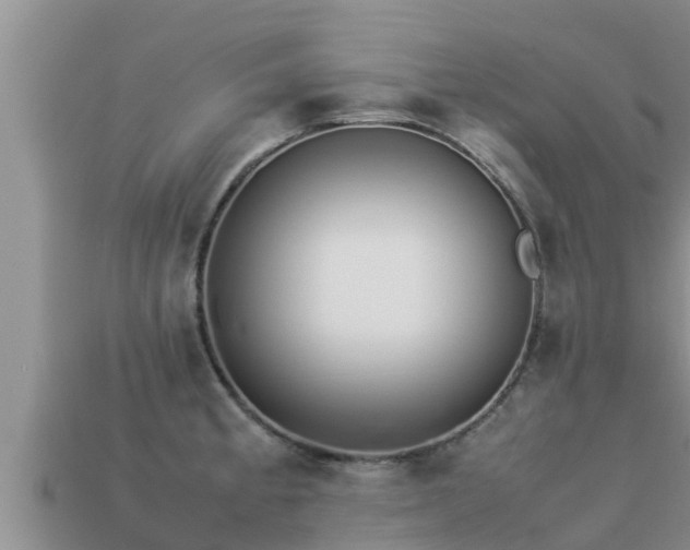 X0000113211189200909171528