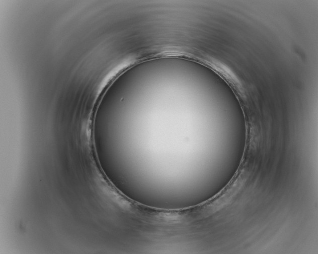 X0000113211190200909171528