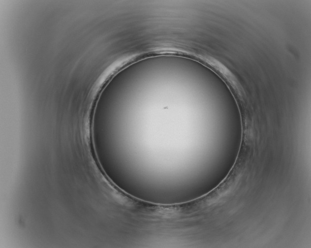 X0000113211191200909171528