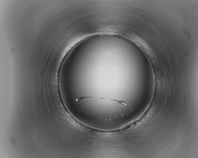 X0000113211192200909171528