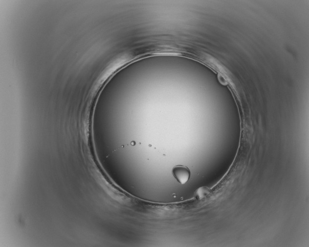 X0000113211195200909171528