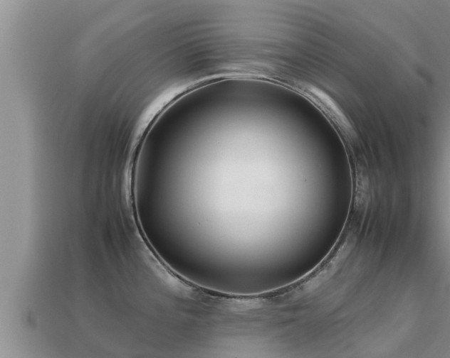 X0000113211196200909171528