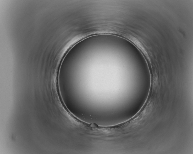 X0000113211197200909171528