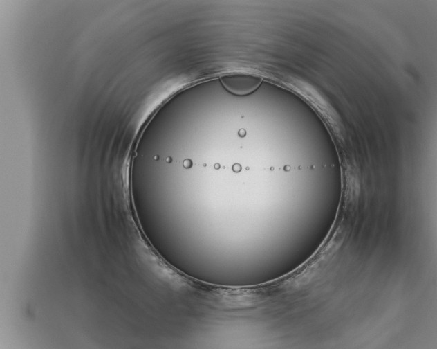 X0000113211198200909171528