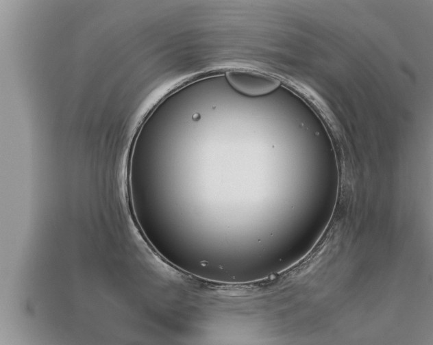 X0000113211199200909171528