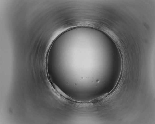 X0000113211200200909171528