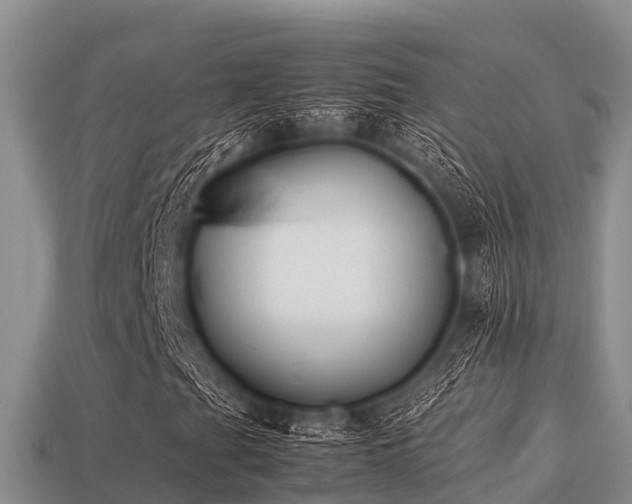 X0000113211201200909171527