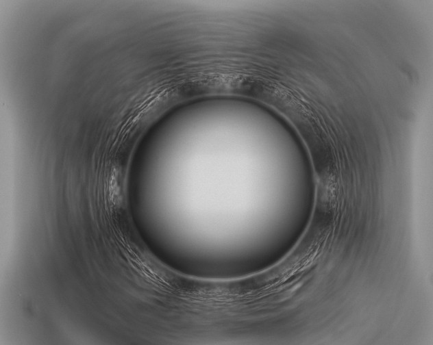 X0000113211202200909171527